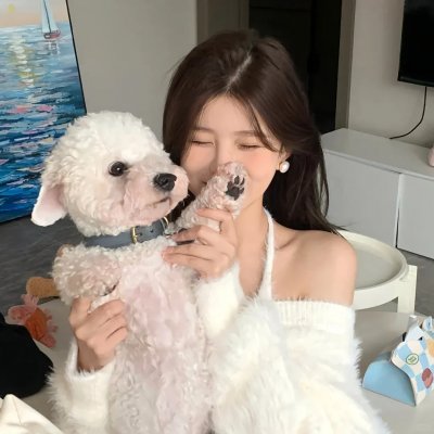纽约屁民第二季